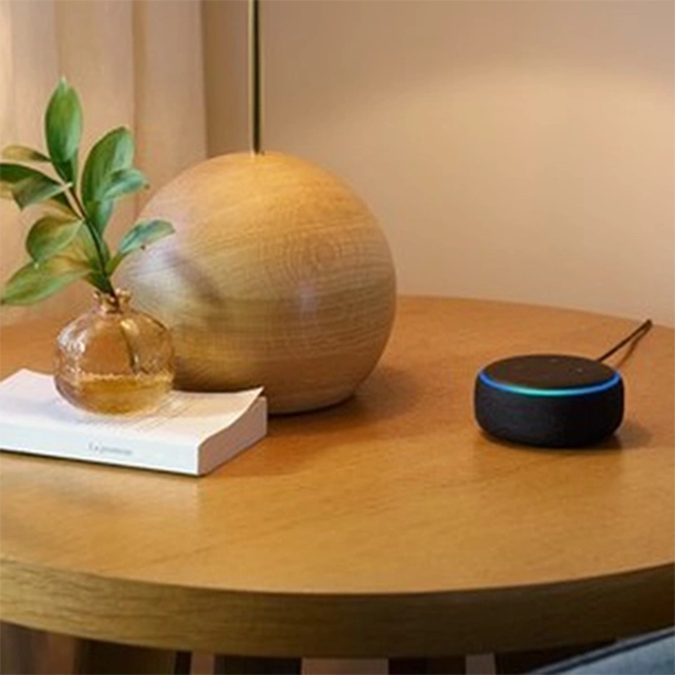 Control your electric blinds with your voice